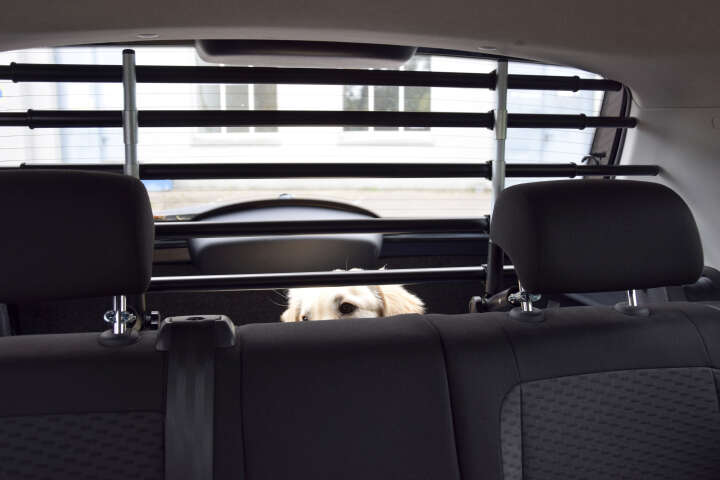 dobar Autotrenngitter verstellbar